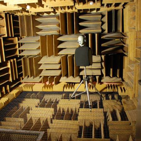 El silencio que grita: ¿aguantarías por 5 millones en la sala más silenciosa del mundo?