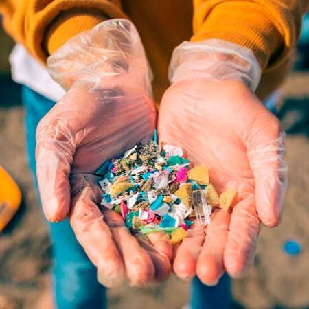 Hongos que comen plástico: la naturaleza nos da una pista